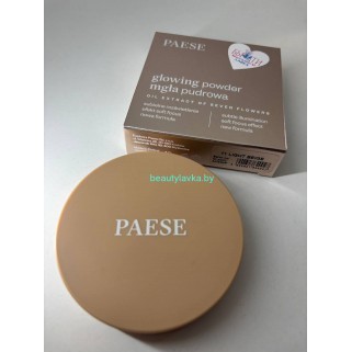 PAESE Glowing Powder Пудра компактная, тон 11