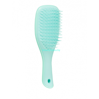 Расческа Tangle Teezer The Wet Detangler Mini Sea Green