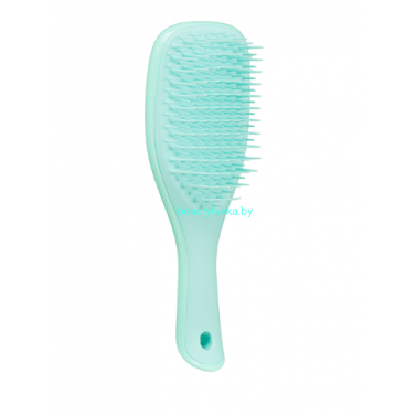 Расческа Tangle Teezer The Wet Detangler Mini Sea Green