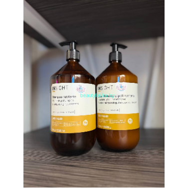 Insight (Италия)